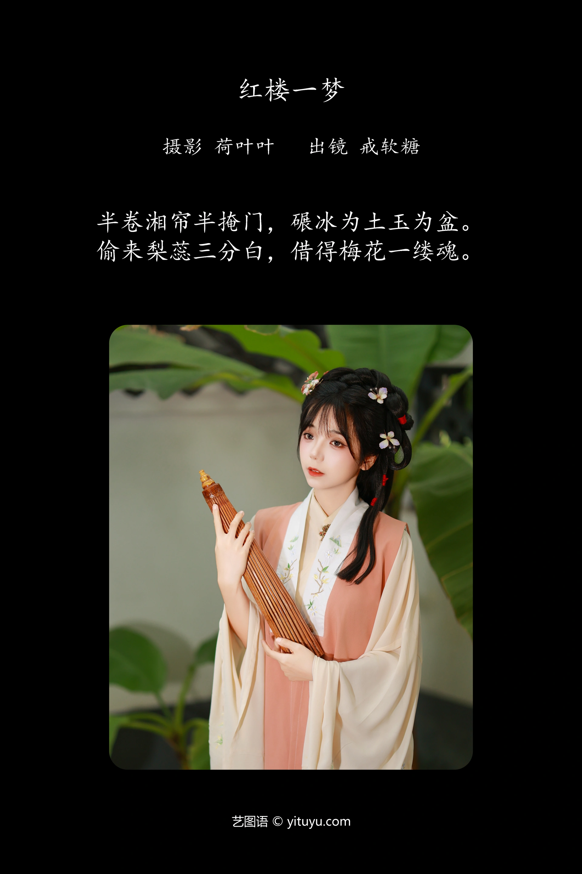 [YITUYU艺图语]2024.12.08 红楼一梦 戒软糖 0